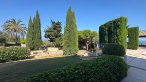 a garden with trees and bushes and a lawn at B&B Dimora Aura in Cupra Marittima