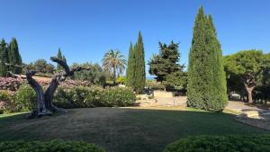 a garden with a statue of a tree on a lawn at B&B Dimora Aura in Cupra Marittima