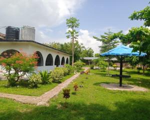 a garden with a blue umbrella in the grass at Fred Hunter Villa in Tiwi