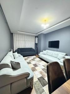 a living room with couches and a flat screen tv at Arden home in Van