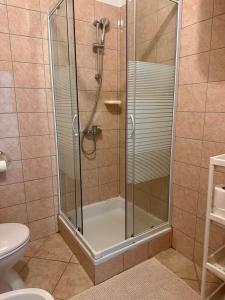 a shower with a glass door in a bathroom at Apartments Mustel Drage - Adults Only in Drage