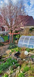 a garden with a greenhouse in front of a house at Haus Haase in Prenzlau