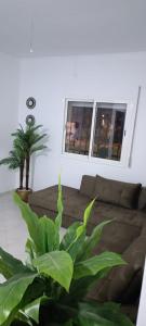 a living room with a couch and a plant at Maison céder in Azrou