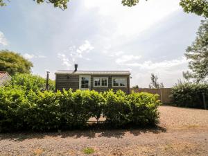 a tiny house in a garden with bushes at Acorn in Weston-super-Mare