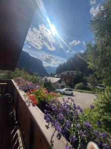 a flower garden on a fence with a view of a mountain at Cèsa Niki in Canazei +2 photos