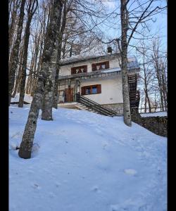 a building in the snow with trees in front of it at Baita degli Alpini in Terminillo