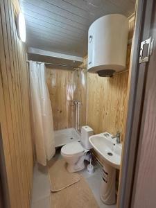 a bathroom with a toilet and a sink at Экохаус Hemingway 1 in Borovoye