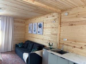 a living room with a black couch in a wooden wall at Экохаус Hemingway 1 in Borovoye