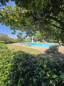 a view of a swimming pool in a garden at Tenuta di Collestretto in Stazzano Nuovo +30 photos