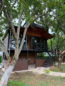a house with a wrap around porch with a tree at Dore in Kobuleti in Kobuleti