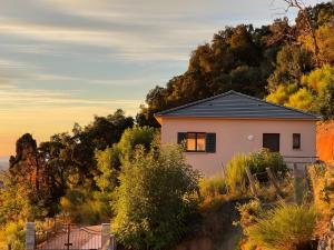 a house on top of a hill with trees at Casa Alena in Cervione