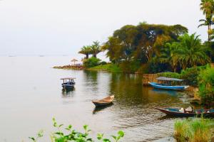a group of boats on a river with palm trees at Chez Kivu in Rubavu