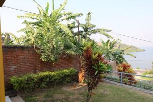 a brick wall with palm trees and the ocean at Chez Kivu in Rubavu +7 photos