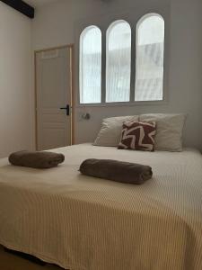 a bedroom with a large bed with two pillows on it at Le Petit Palais, en hyper centre de Valence in Valence
