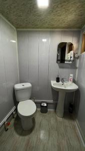 a small bathroom with a toilet and a sink at LEMI Mountain Cottages - Ushguli in Ushguli
