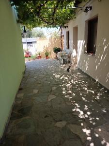 a stone walkway leading to a building with a shadow at Antonia's house on the beach in Skala Sotiros