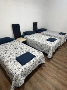 a group of three beds in a room at Casa Tulipán in Monterrey