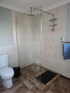 a bathroom with a glass shower with a toilet at The Cottage Eplazini in Port Shepstone +1 photo