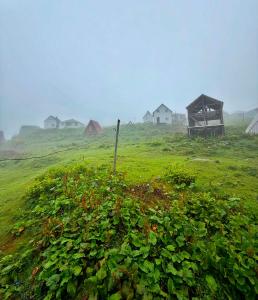 ein grasbewachsenes Feld mit Häusern im Hintergrund in der Unterkunft Gomito mta in Ekadiya