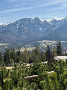 a view of a mountain range with snow covered mountains at Kolejarz Natura Tour in Zakopane