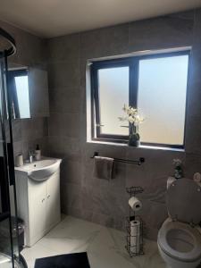 a bathroom with a sink and a toilet and a window at Suzies Escape in Bovevagh +12 photos