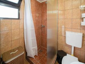 a bathroom with a toilet and a shower at CASA DODO in Călimăneşti +61 photos