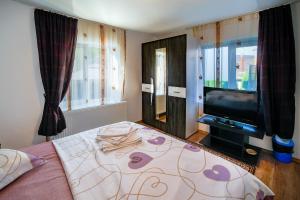a bedroom with a bed and a flat screen tv at CASA DODO in Călimăneşti