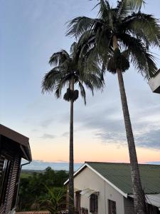 two palm trees in front of a white building at The Cottage Eplazini in Port Shepstone