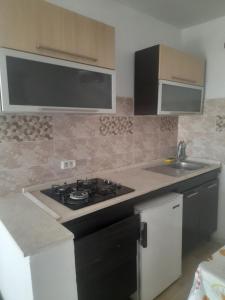 a kitchen with a stove and a sink at Au Soleil le Vent in La Goulette