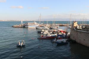 a group of boats are docked in a harbor at Ayham dream house in Acre
