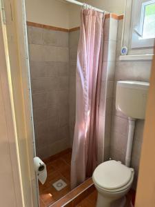 a bathroom with a toilet and a pink shower curtain at Chata Dorka in Kamenica nad Hronom +25 photos