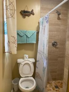a bathroom with a toilet and a shower at Angie's Guest Cottage in Virginia Beach +34 photos