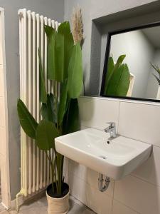 a bathroom with a sink and a plant next to a radiator at Loft character in Eggenstein-Leopoldshafen
