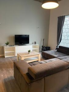 a living room with a couch and a flat screen tv at Loft character in Eggenstein-Leopoldshafen