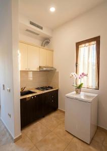 a kitchen with a counter with a vase of flowers on it at Hotel Marino in Baks-Rrjoll