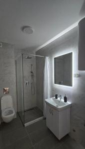 a bathroom with a shower and a sink and a toilet at Stan apartman Kolašin in Kolašin
