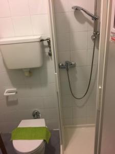 リーヴァ・デル・ガルダにあるLAKE & CASTLE VIEW apartmentのバスルーム(シャワー、トイレ、緑のタオル付)