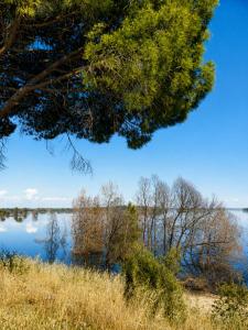 a view of a lake with trees in the foreground at Casa das Viagens in Ferreira do Alentejo