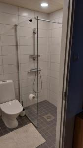 a bathroom with a toilet and a glass shower at Mugav mereäärne korter in Orissaare