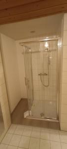 a bathroom with a shower with a glass enclosure at Gästehaus Willanzheim in Willanzheim