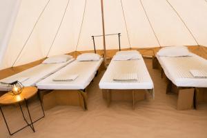 three beds in a tent in a room at NIBIRU OFFICIAL ACCOMMODATION LUNR Camp in Costinesti +28 photos