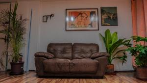a brown leather couch in a room with plants at Hostal del angel in Mexico City