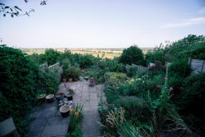a garden with lots of plants and flowers at Avalonia in Glastonbury