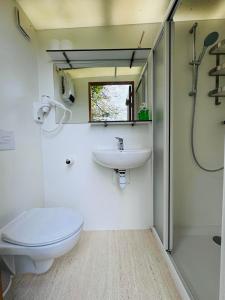 a bathroom with a toilet and a sink and a shower at Barrel Cabin 2 in Trethurgy