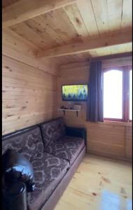 a living room with a couch in a cabin at Nino apartment in Dvabzu