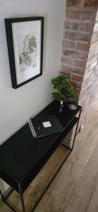 a black table with a laptop and a plant on it at Sosnówka in Kolonowskie