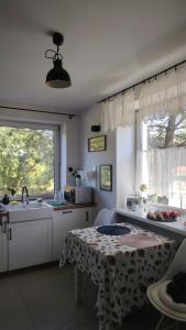 a kitchen with a table and a sink and a window at Willa Myśliwska Giżycko in Giżycko