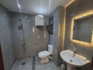 a bathroom with a shower and a toilet and a sink at شاليه غرفتين ببورتوسعيد للعائلات فقط in Port Said +30 photos