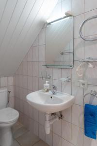 a bathroom with a sink and a toilet and a mirror at Ema in Palanga +71 photos