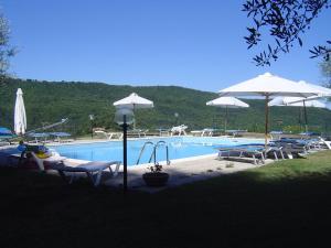 a swimming pool with chairs and umbrellas next to it at Agriturismo Sorripe in Montelaterone